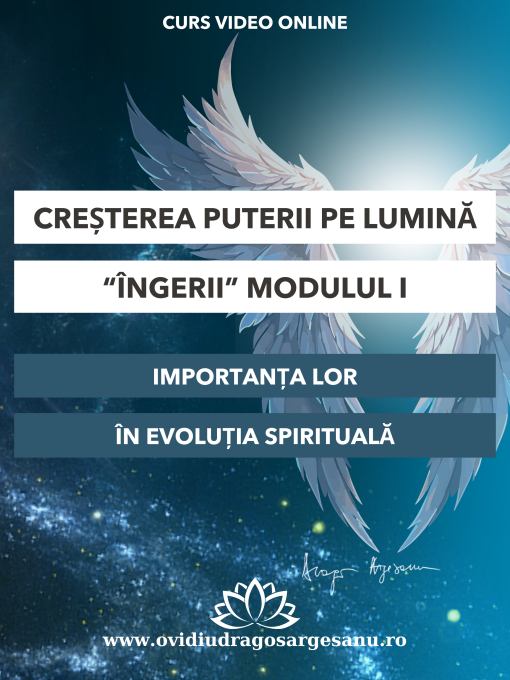 ingerii mod I Sibiu 600x800