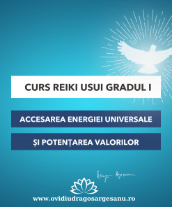 Curs: Reiki Usui Gradul I - Aro Palace Brasov - acces online (Seniori)