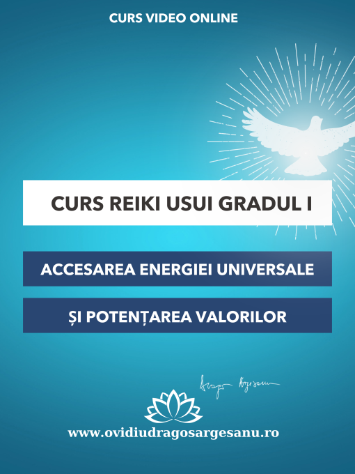 Curs-Reiki-Usui-gr-1-Braso-Aro-Palace-600x800