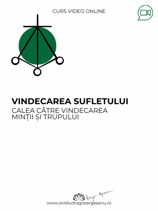 Conferinta premium Abundenta si bunastarea 600X800 (10)