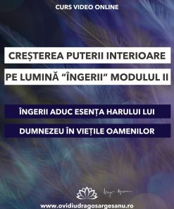 Curs: Cresterea puterii interioare pe lumina ,,Ingerii” Modulul II- Craiova - acces online (Seniori)
