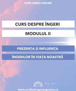 Curs: Despre ingeri - Modulul II - Londra- acces online (Seniori)