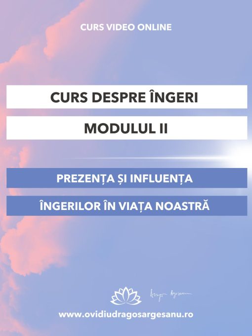 Curs-Despre ingeri - Modulul II-premium-600-800