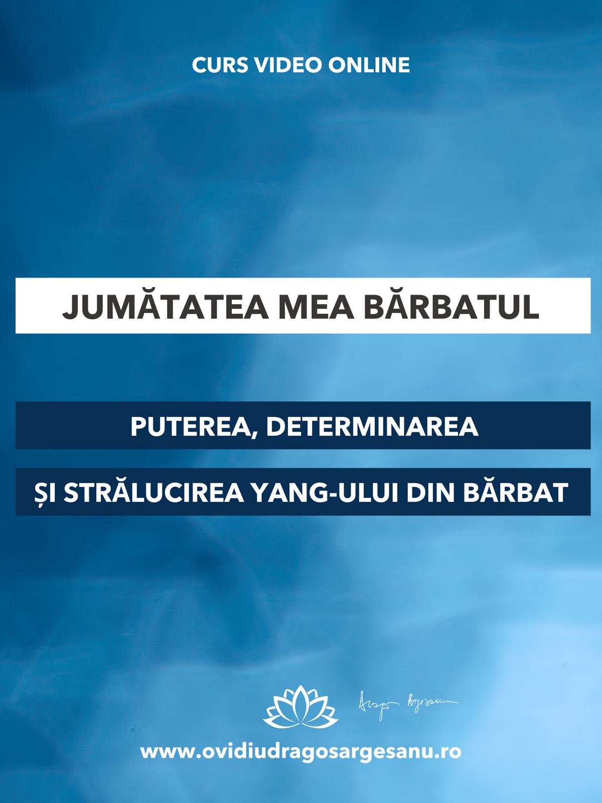 Curs-Jumatatea mea, barbatul-Londra-premium-600-800