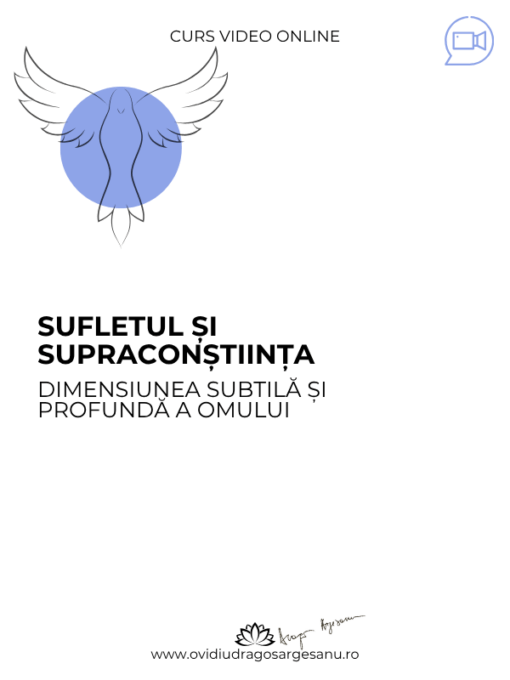 Conferinta premium Abundenta si bunastarea 600X800 (7)