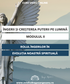 Curs-Ingerii si cresterea puterii pe lumina-Modulul II-Deva