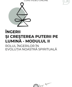 Curs: Ingerii si cresterea puterii pe lumina - Modulul II - Deva - acces online