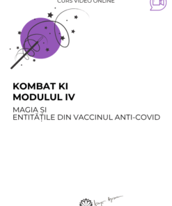 Curs: Kombat Ki - Modulul IV - Bucuresti - acces online