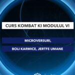 Curs Kombat Ki Modulul VI-Bucuresti-600-800-Curs Premium