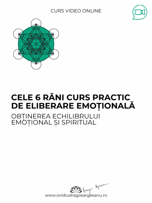 Conferinta premium Abundenta si bunastarea 600X800 (9)