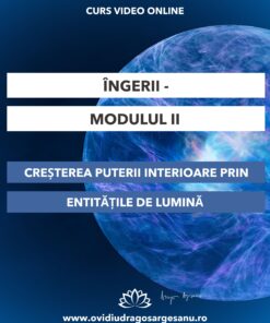 Curs-Ingerii Modulul II-Ploiesti-3.10.2025- 600-800