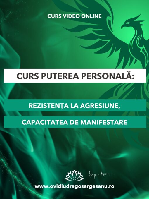 Curs-Puterea personala - Timisoara-premium 600-800