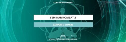 seminar kombat 2 grafica Premium 600 200