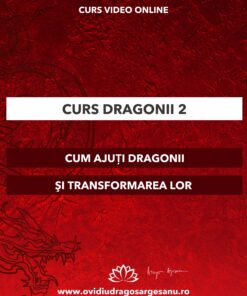 Curs: Dragoni Modulul II - Craiova - acces online