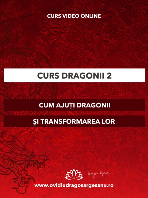 Craiova dragonii 2 grafica premium 600-800