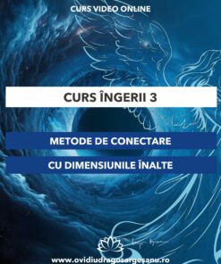 Curs: Ingerii Modulul III - Craiova - acces online