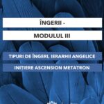 Curs-Ingerii Modulul III-Ploiesti-27.02.2025- 600-800