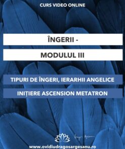 Curs-Ingerii Modulul III-Ploiesti-27.02.2025- 600-800