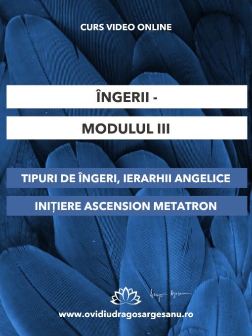 Curs-Ingerii Modulul III-Ploiesti-27.02.2025- 600-800 Curs-Ingerii Modulul III-Ploiesti-27.02.2025- 600-800