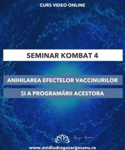 Seminar Kombat 4 grafica premium 600 800