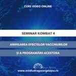 Seminar Kombat 4 grafica premium (1080 x 566 px)